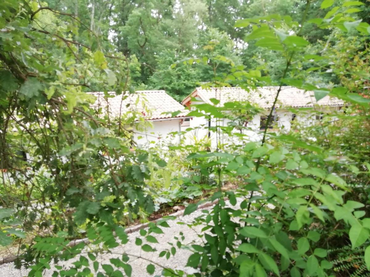 Pause Nature. Maison Ananda A 14 Kms De Toulouse Avec Parking Privatif Lapeyrouse-Fossat Екстер'єр фото